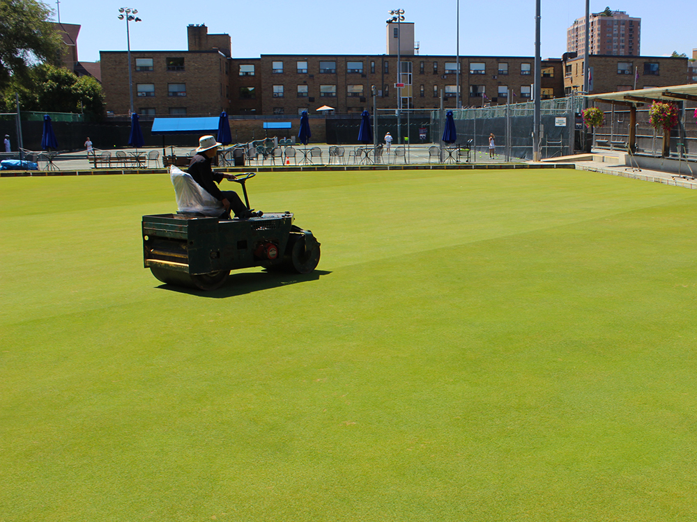 Toronto Cricket Club employee preparing the Lawn Bowling Green